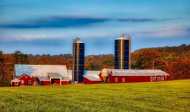 Stati Uniti: Un suggestivo itinerario nel New England in autunno